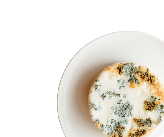 Сыры с благородной плесенью