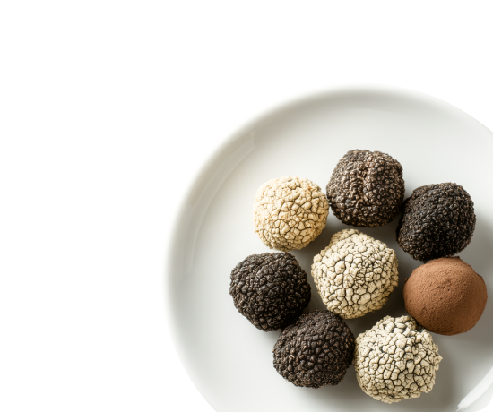 Трюфельная продукция